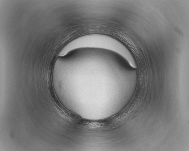 X0000115790409200912041516