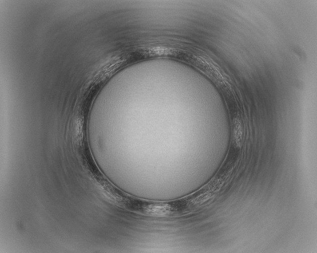 X0000115790410200912041516