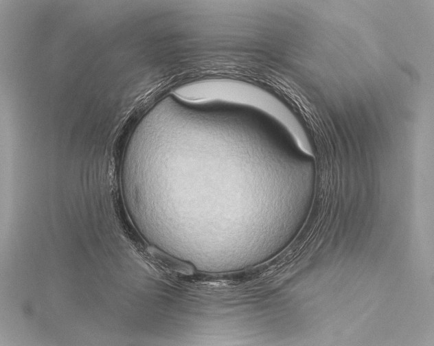 X0000115790411200912041516