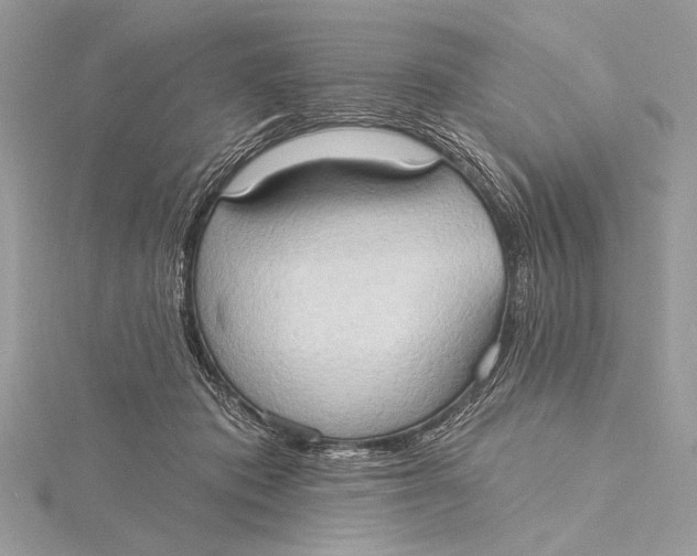 X0000115790413200912041516