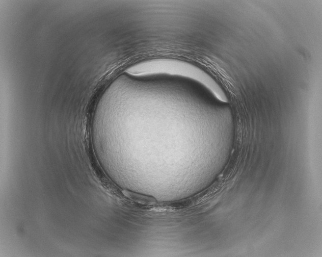 X0000115790415200912041516