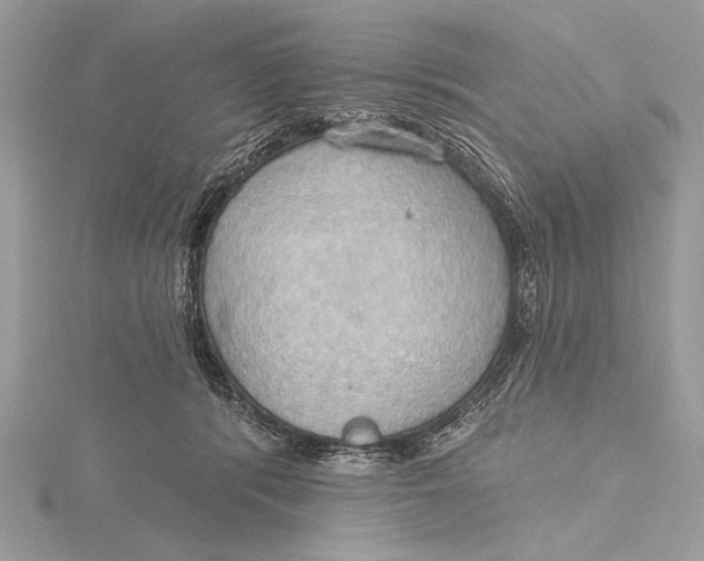 X0000115790416200912041516