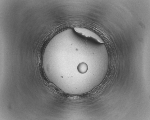 X0000115790417200912041516