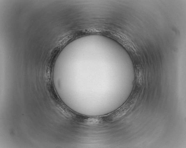 X0000115790418200912041516