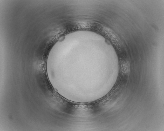 X0000115790419200912041516