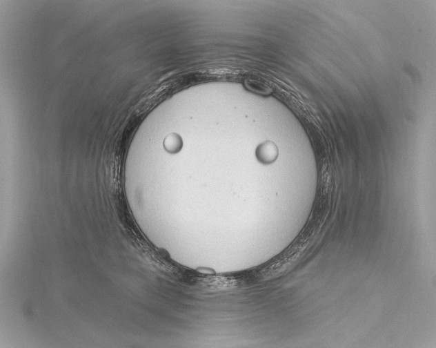 X0000115790421200912041516