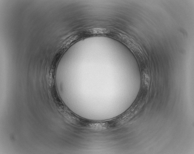 X0000115790422200912041516