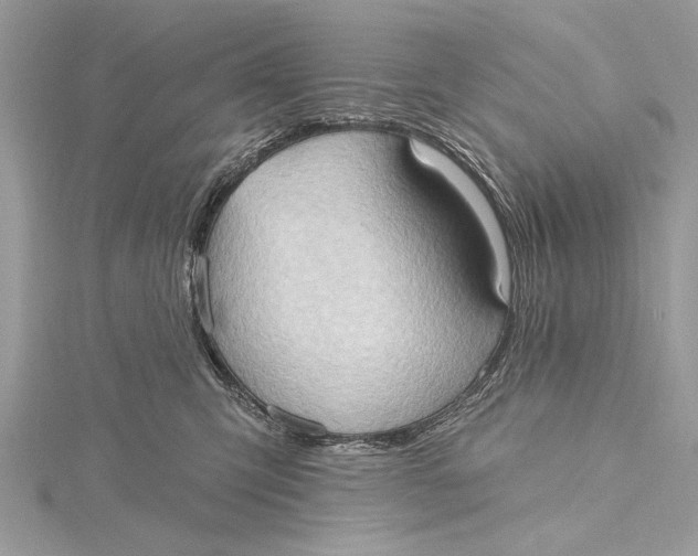 X0000115790423200912041516