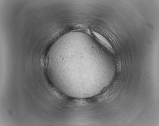 X0000115790424200912041516