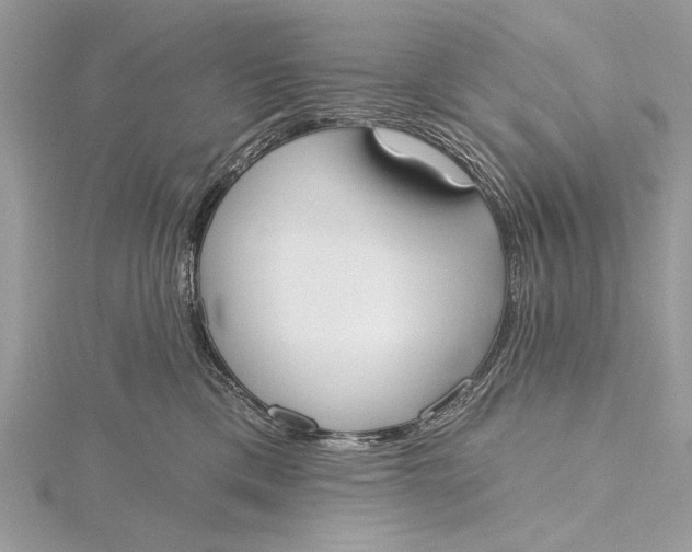 X0000115790425200912041516