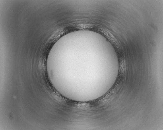 X0000115790426200912041516