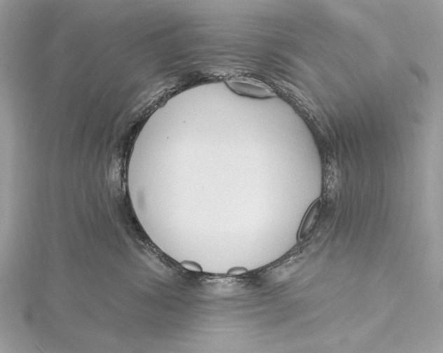 X0000115790428200912041516