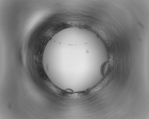 X0000115790430200912041516