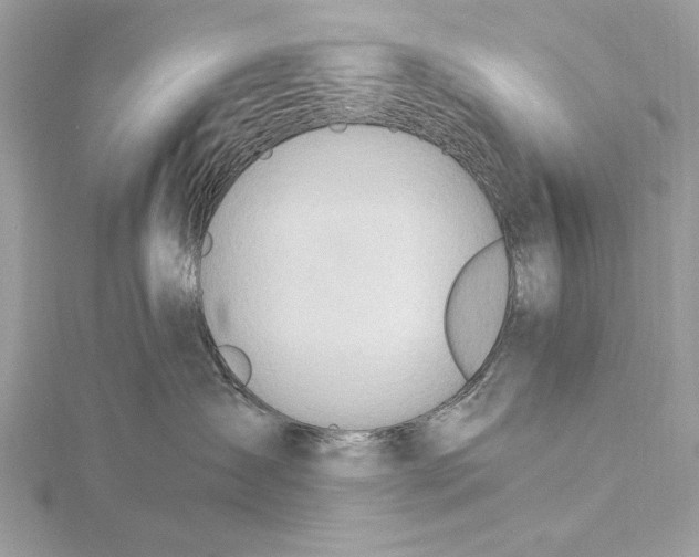 X0000115790431200912041516