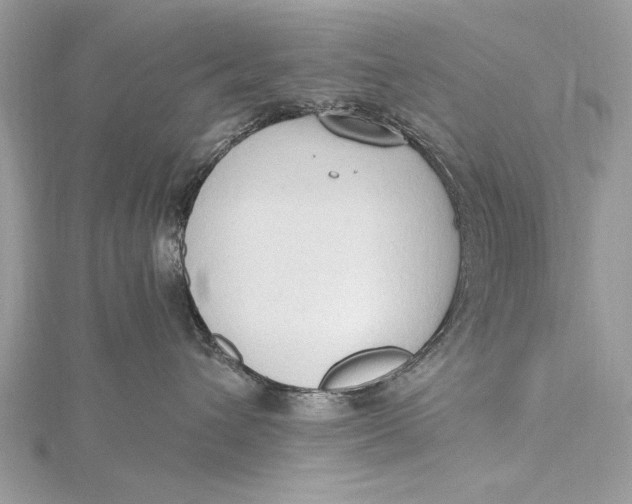 X0000115790432200912041516