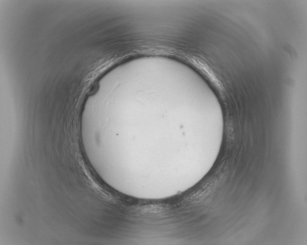 X0000115790433200912041516