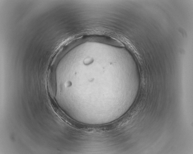 X0000115790434200912041516