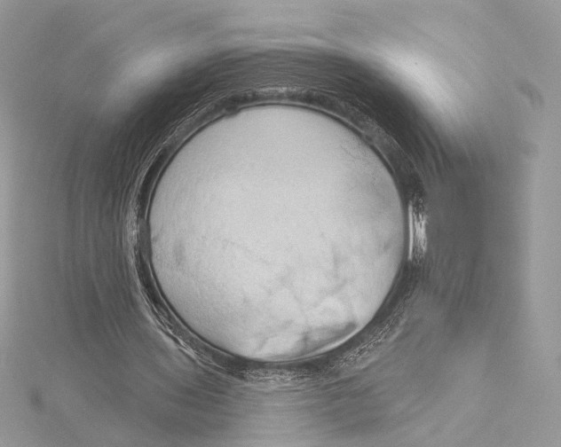 X0000115790435200912041516