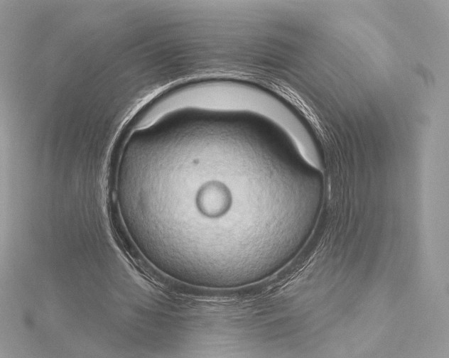 X0000115790436200912041516