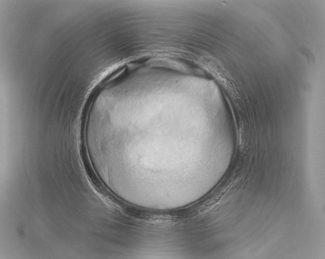 X0000115790438200912041516