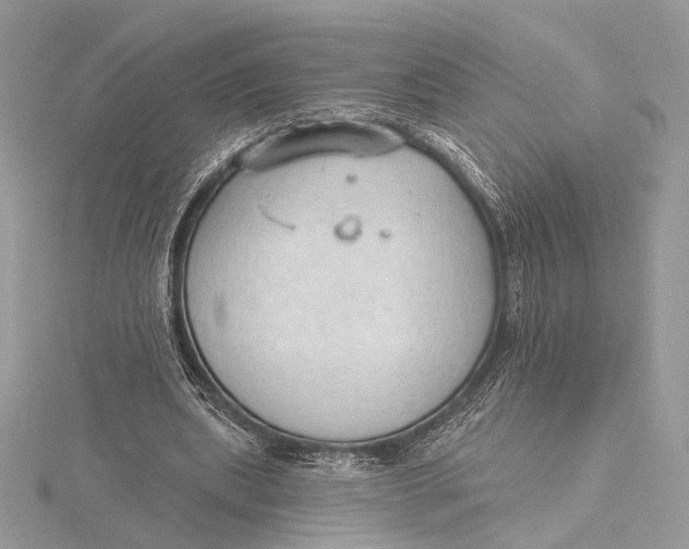 X0000115790439200912041516