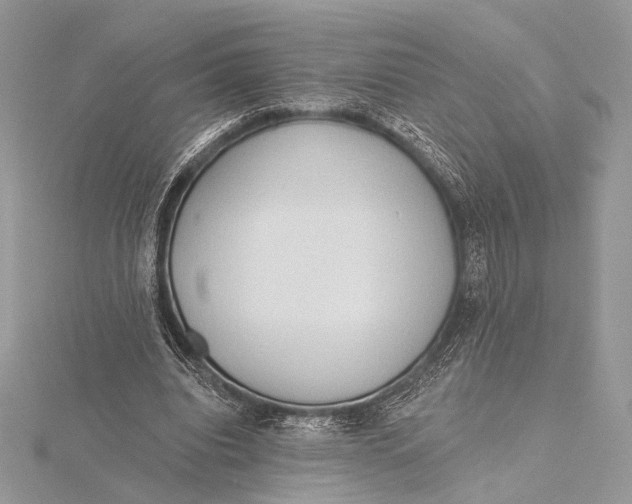 X0000115790440200912041516