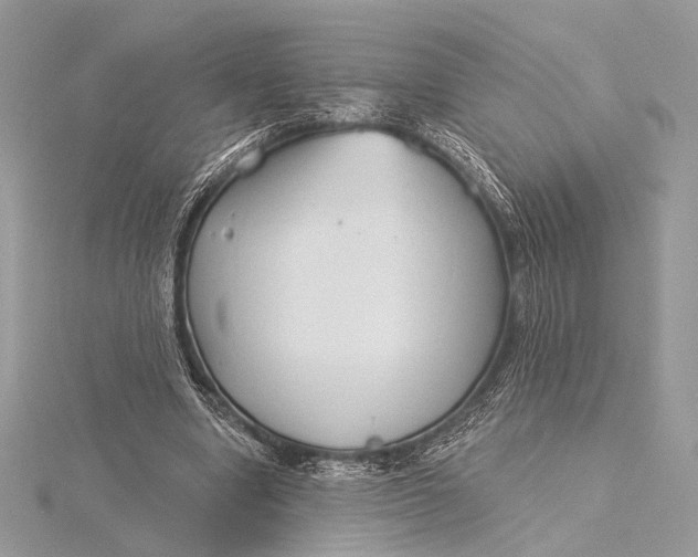 X0000115790442200912041516