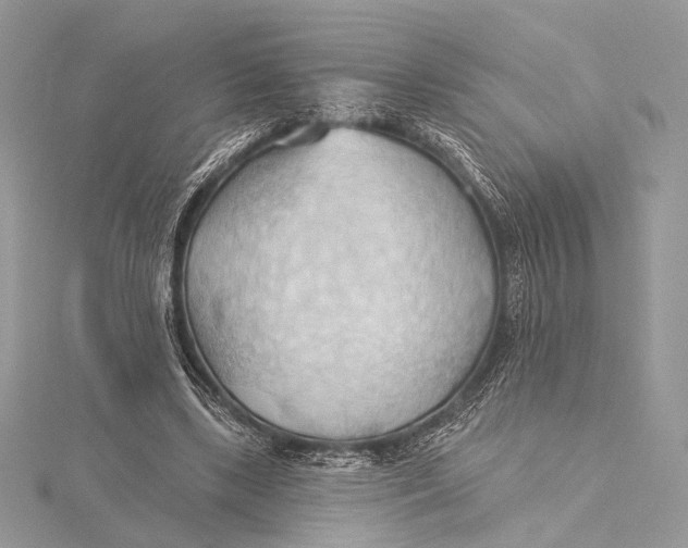 X0000115790443200912041516