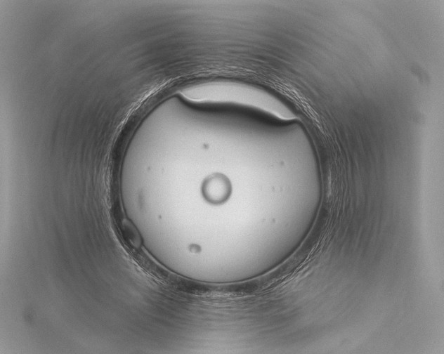 X0000115790444200912041516