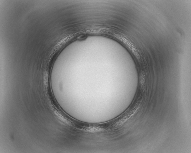 X0000115790445200912041516