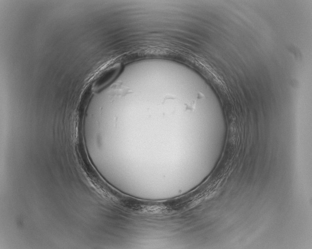 X0000115790446200912041516