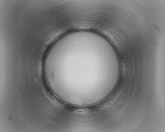 X0000115790447200912041516