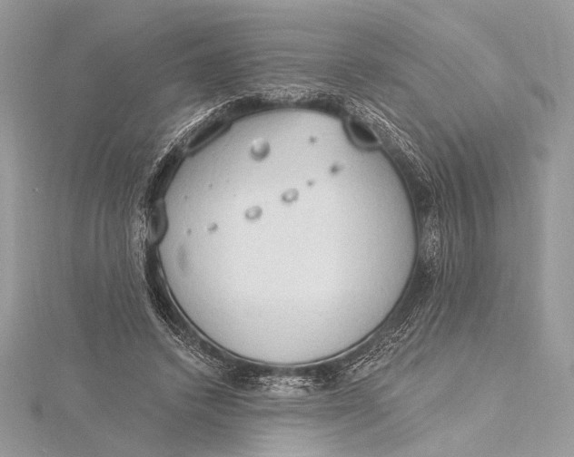 X0000115790448200912041516