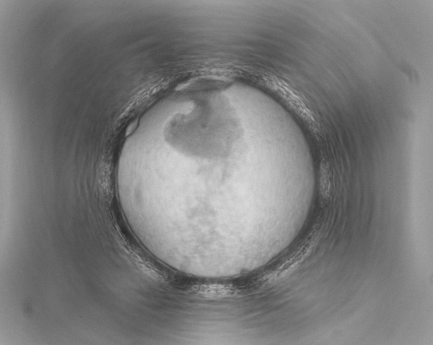 X0000115790449200912041516