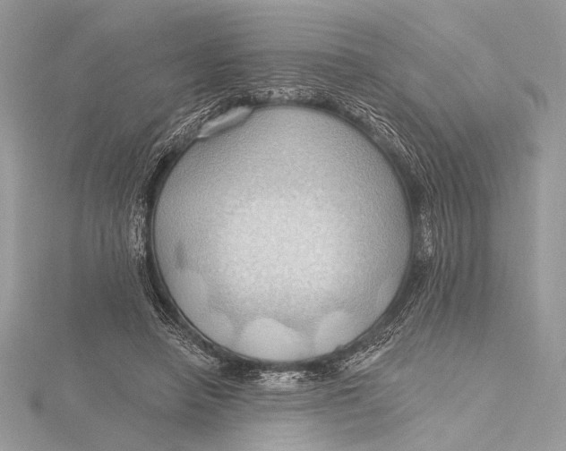 X0000115790450200912041516