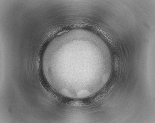 X0000115790451200912041516