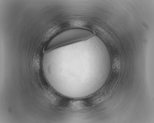 X0000115790452200912041516