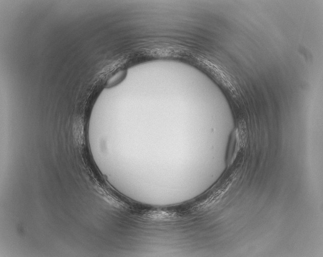 X0000115790453200912041516