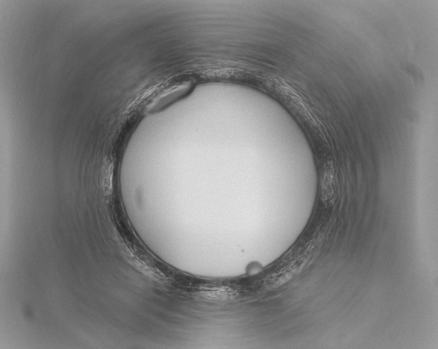 X0000115790454200912041516