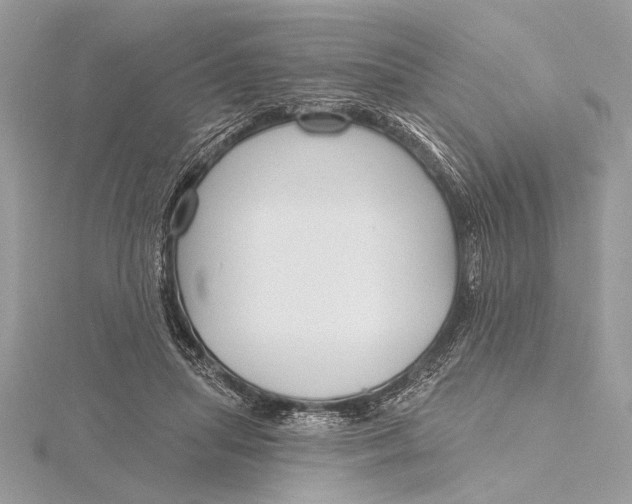 X0000115790455200912041516