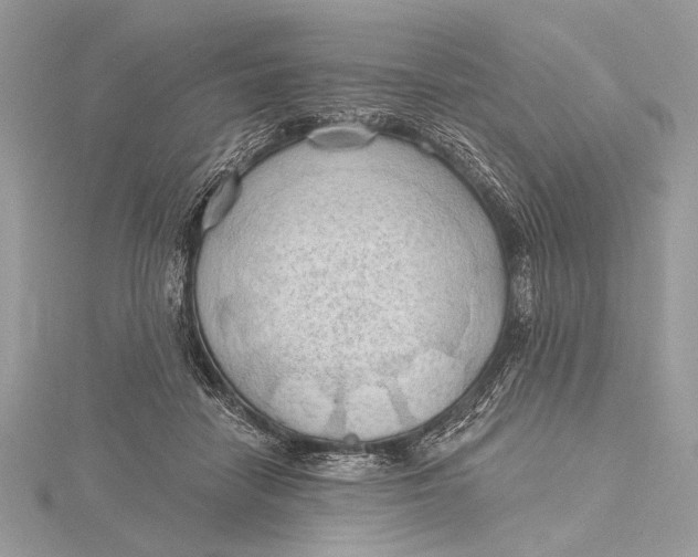 X0000115790458200912041516