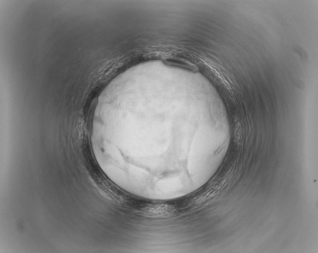 X0000115790459200912041516