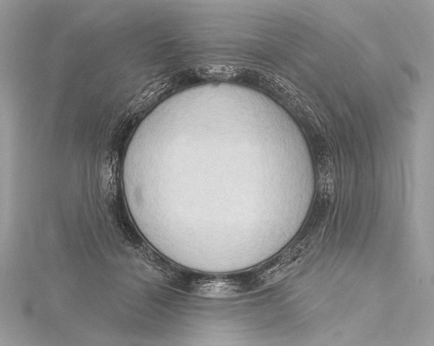 X0000115790460200912041516