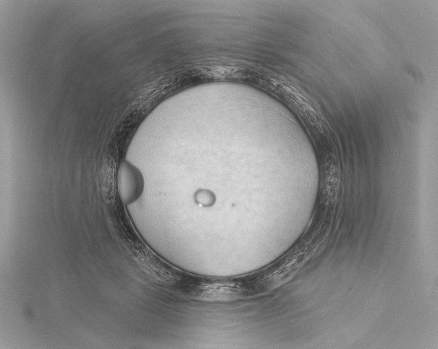 X0000115790461200912041516