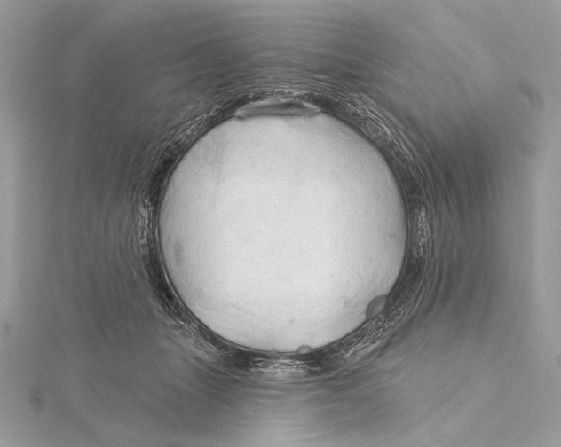 X0000115790463200912041516