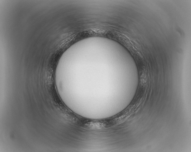 X0000115790464200912041516