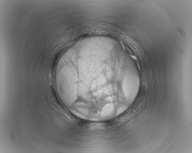 X0000115790465200912041516