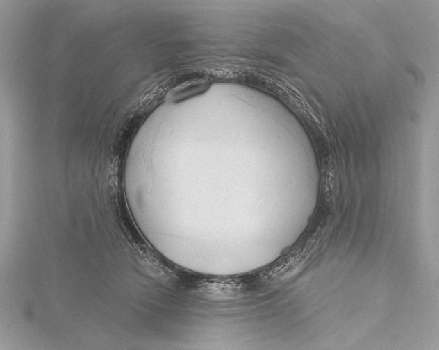 X0000115790466200912041516