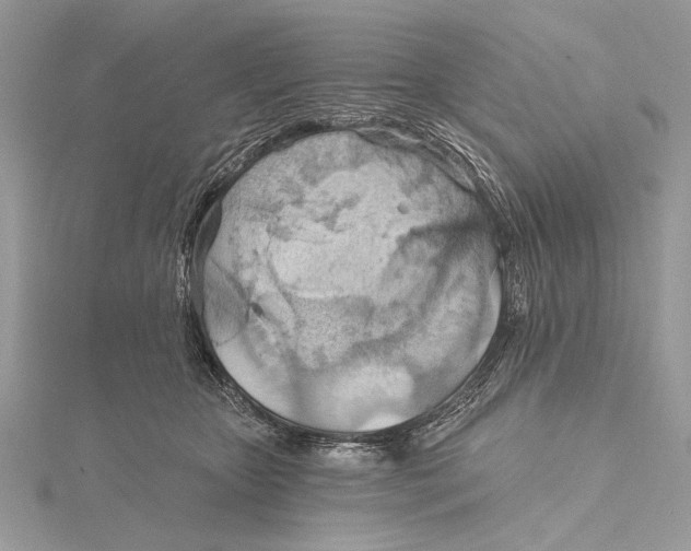 X0000115790467200912041516