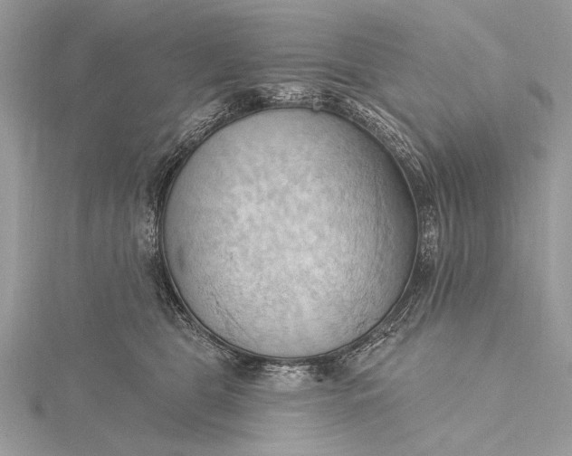 X0000115790469200912041516